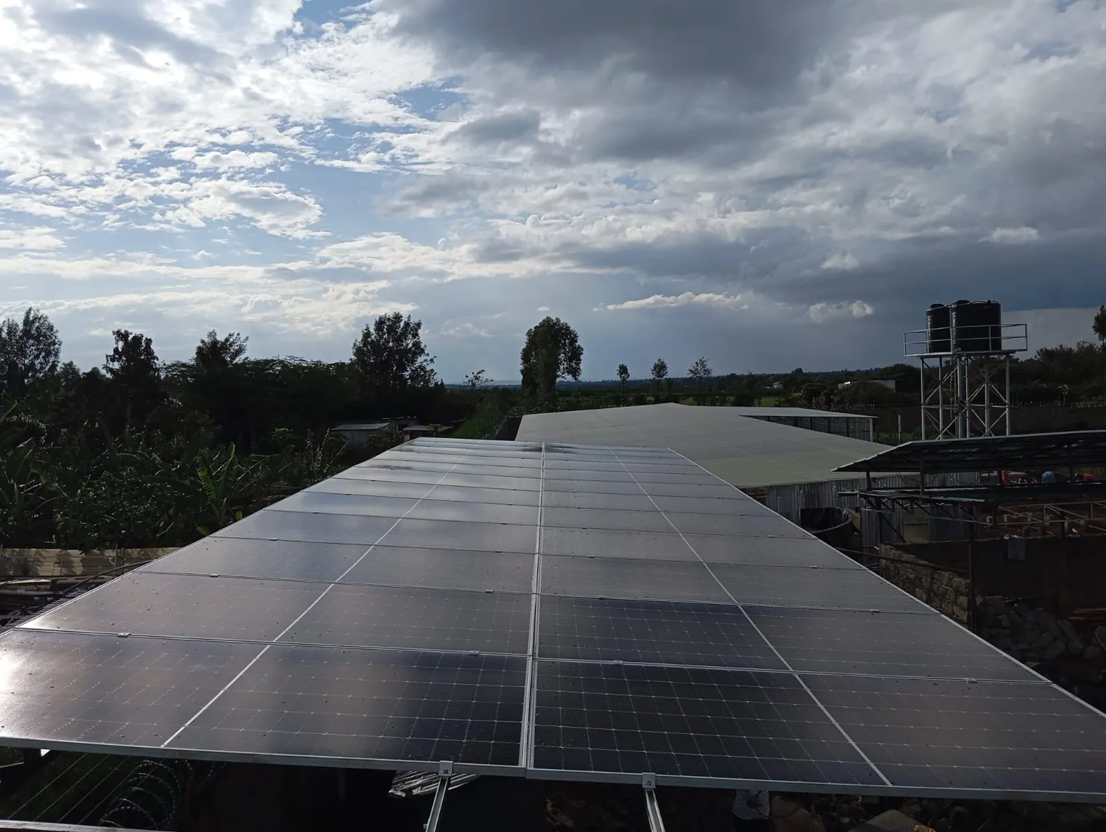Commercial Solar Array